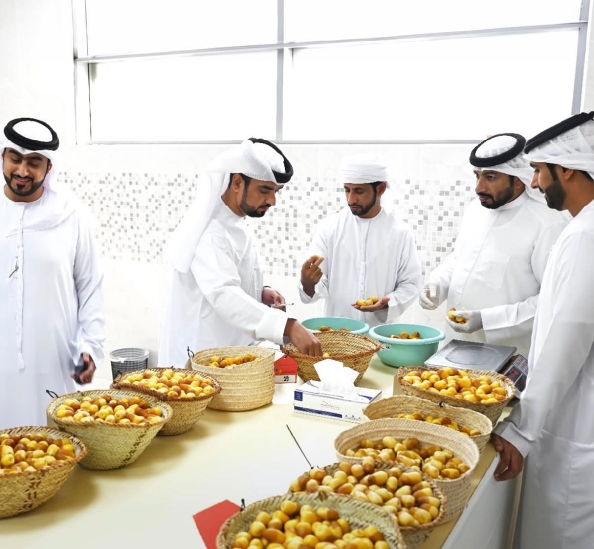 مهرجان الذيد للرطب